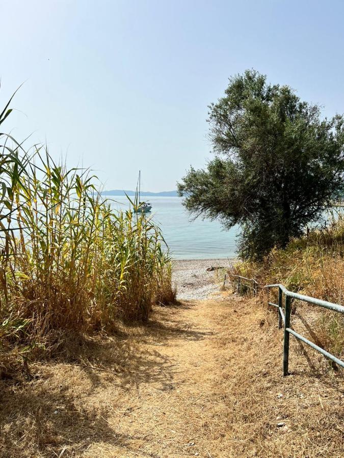 Lithino Apartments - 5Min From The Beach Агиос-Иоаннис-Перист Экстерьер фото