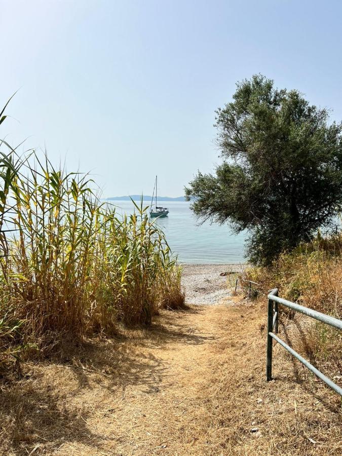 Lithino Apartments - 5Min From The Beach Агиос-Иоаннис-Перист Экстерьер фото