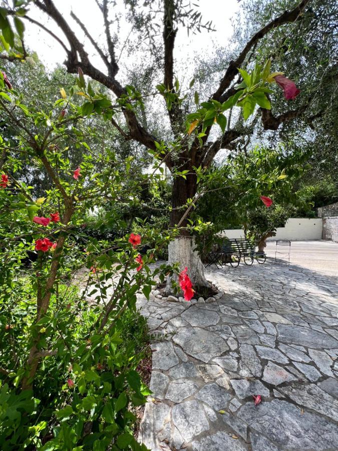 Lithino Apartments - 5Min From The Beach Агиос-Иоаннис-Перист Экстерьер фото